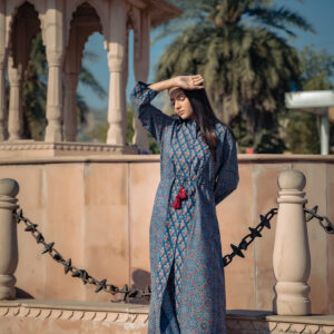 Ahilya indigo Dress